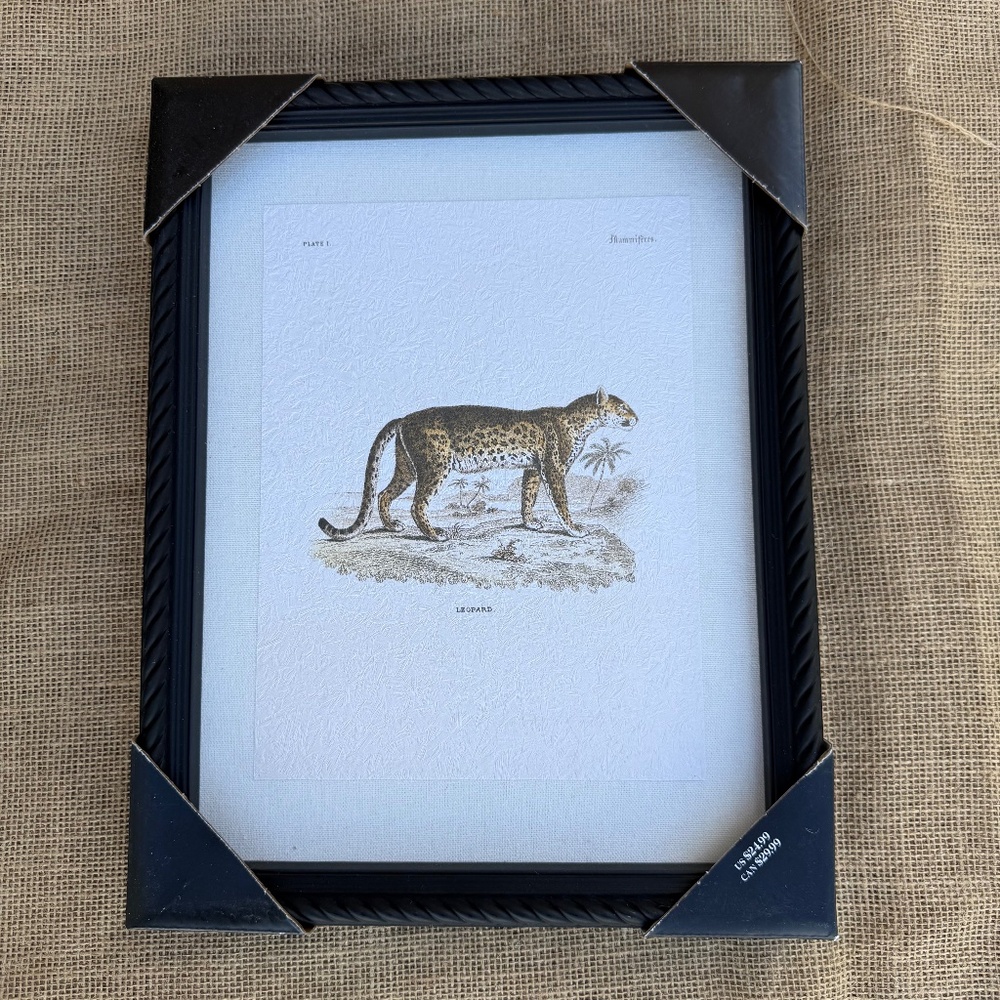 Framed Leopard Print